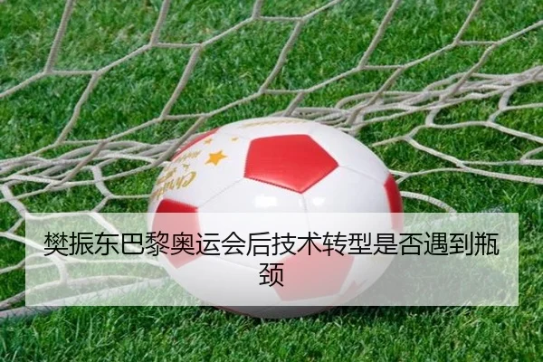 樊振东巴黎奥运会后技术转型是否遇到瓶颈